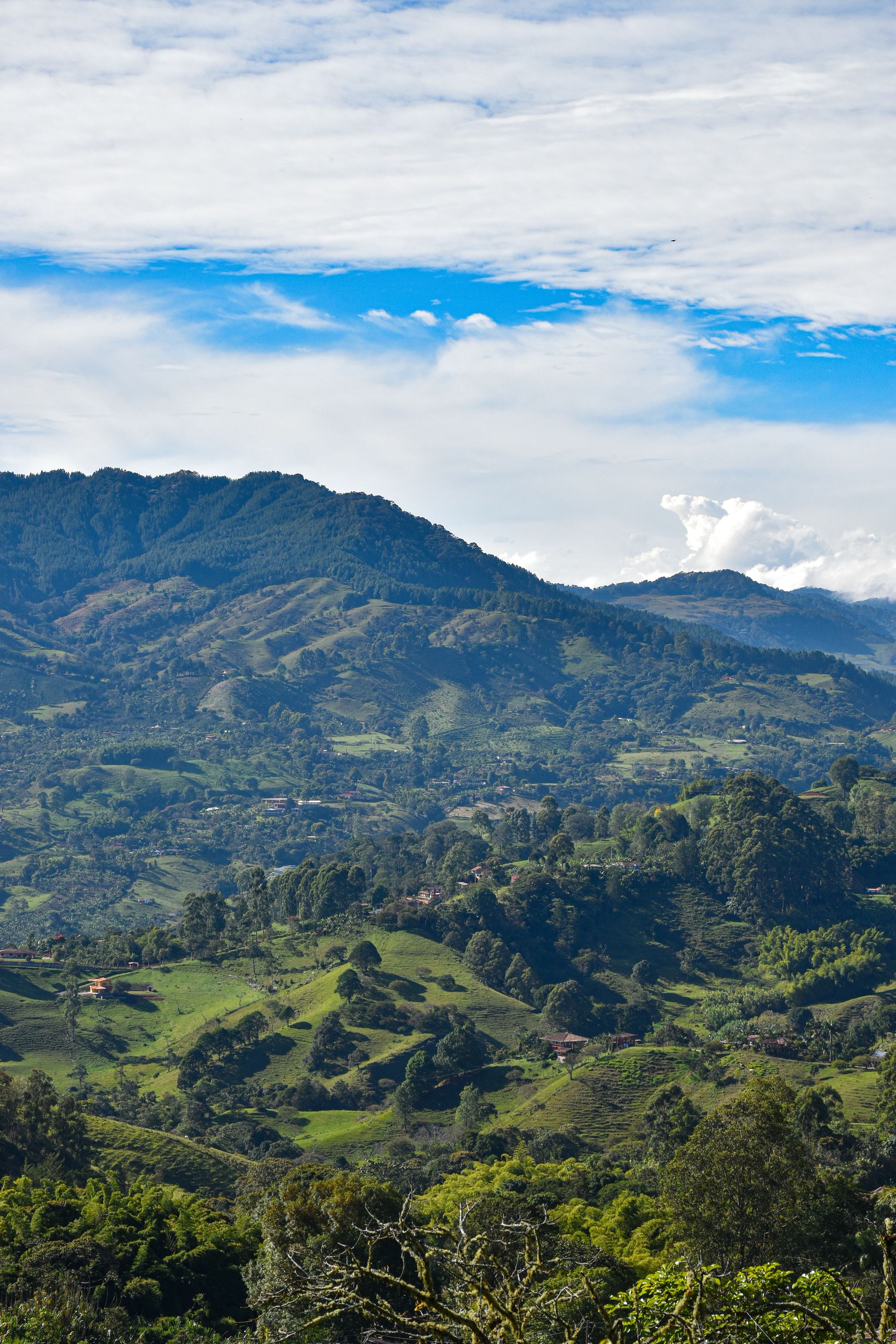 Ruta del café y la trova